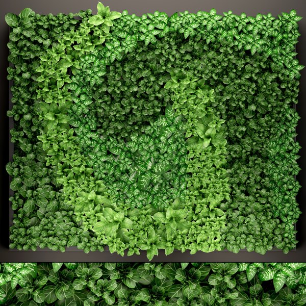 3D Greenwall Models | TurboSquid