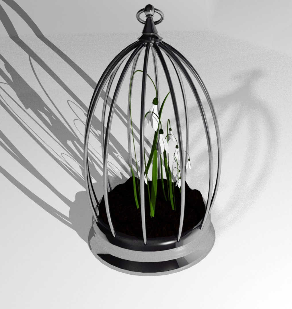 3D snowdrop flowers cage https://p.turbosquid.com/ts-thumb/FH/IiPaQF/zkb0q5E0/xzx/jpg/1586287786/1920x1080/fit_q87/91e2d234e8b6b142ad9d24ee5462b7d2970f5212/xzx.jpg