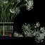 Annes Spitze in Ikebana-Vase