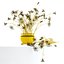 Annes Spitze in Ikebana-Vase