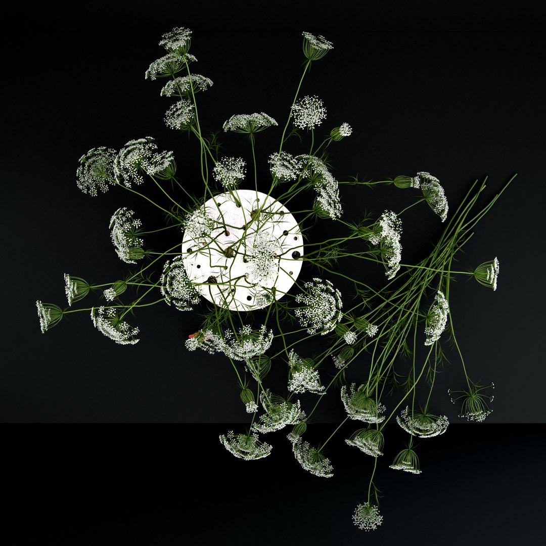 3D realistic flowers ikebana vase https://p.turbosquid.com/ts-thumb/FH/RNP6ux/P0VZZepx/top/jpg/1511099825/1920x1080/fit_q87/04c28a413c947fd74c7b23b012816409cfdc39c2/top.jpg