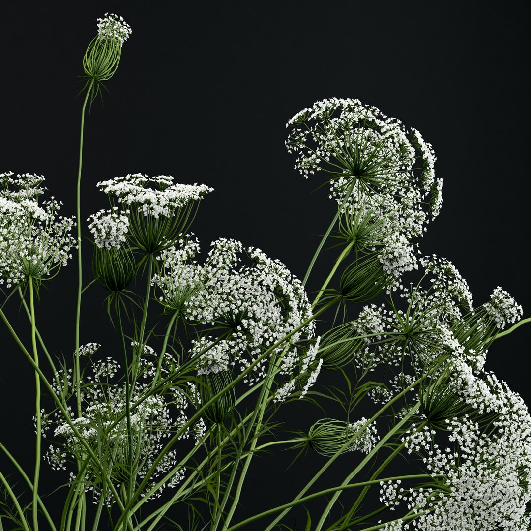 3D realistic flowers ikebana vase https://p.turbosquid.com/ts-thumb/FH/RNP6ux/TzGoiUDd/m2/jpg/1511099884/1920x1080/fit_q87/fa789562a54545433b46626e0c752cb995700070/m2.jpg