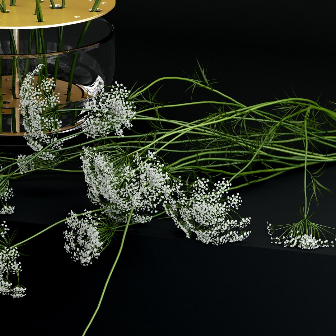 3D realistic flowers ikebana vase https://p.turbosquid.com/ts-thumb/FH/RNP6ux/cUcpdw5f/m1/jpg/1511099869/1920x1080/fit_q87/4bbc514af7648447198632914882a620458c39e5/m1.jpg