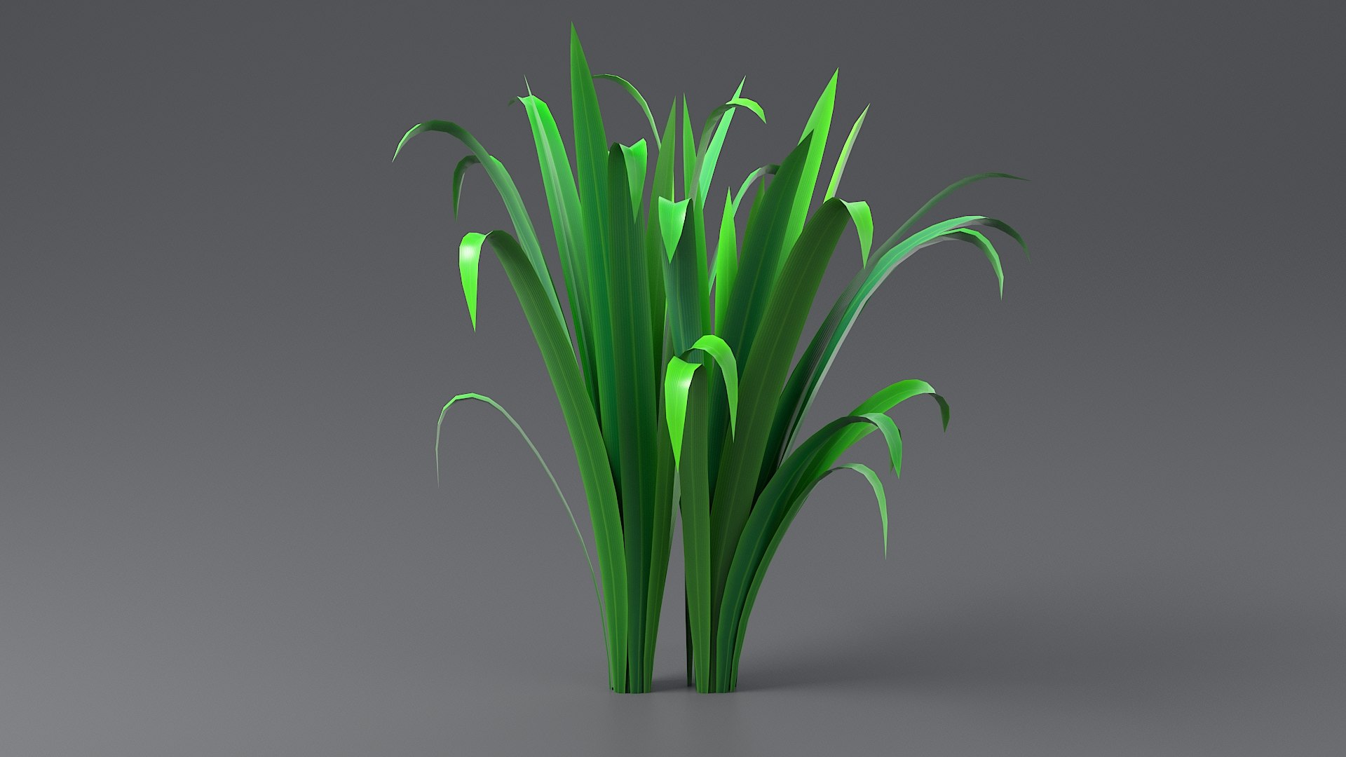 Cartoon Grass Bundle 3D https://p.turbosquid.com/ts-thumb/FH/cpmTUo/VJ/grass_long_0042/jpg/1679647004/1920x1080/fit_q87/29fd8ae669a037c1a6dc0de79c015ebbcea6e304/grass_long_0042.jpg