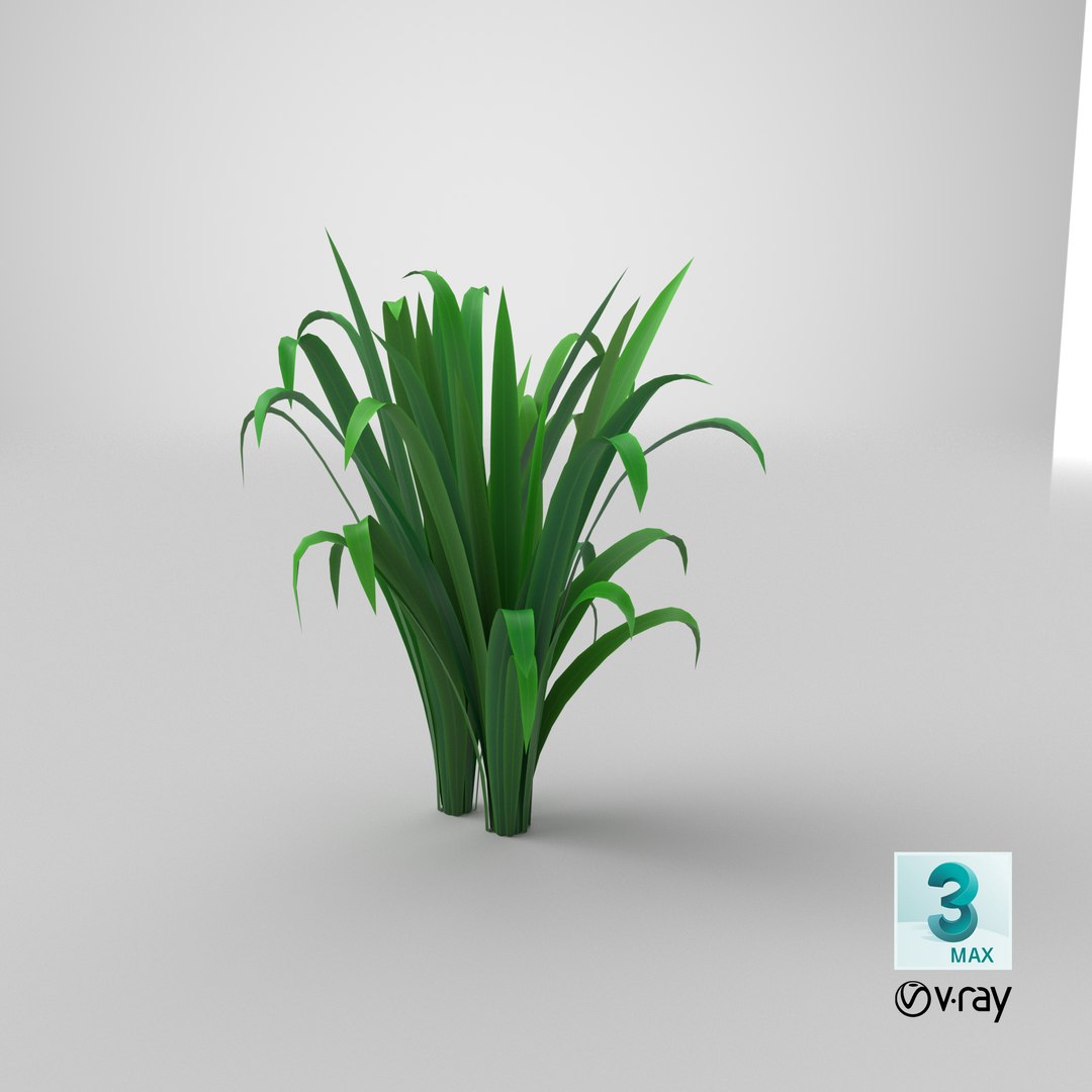 Cartoon Long Grass 09 3D model https://p.turbosquid.com/ts-thumb/FH/cpmTUo/YY/stemcell_max_vray_render/png/1679652097/1920x1080/fit_q87/1e5a3969f8581feaa4a8554bde1672dd8c39b078/stemcell_max_vray_render.jpg