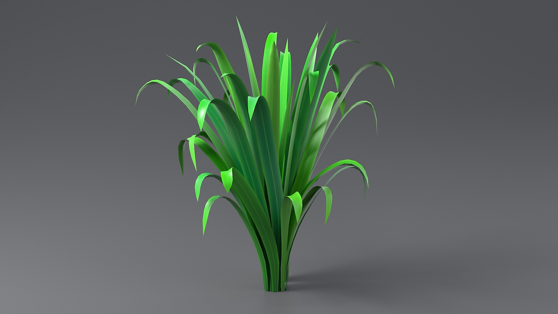Cartoon Long Grass 09 3D model https://p.turbosquid.com/ts-thumb/FH/cpmTUo/lf/grass_long_0045/jpg/1679646928/1920x1080/fit_q87/da0098b05c8e33bc3b4e59d1ff71a45681415467/grass_long_0045.jpg