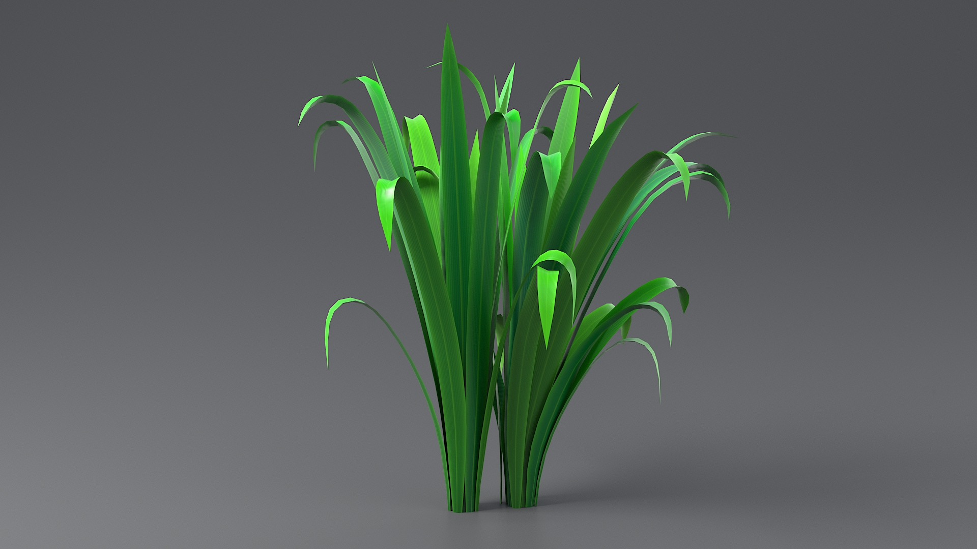 Cartoon Long Grass 09 3D model https://p.turbosquid.com/ts-thumb/FH/cpmTUo/rE/grasslongtbanine/jpg/1679646958/1920x1080/turn_fit_q99/1d5c4d51f8bbe99f9fb6952964dd60c48f4c2a97/grasslongtbanine-1.jpg