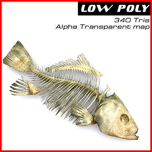 Fish skeleton