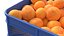 Caixa de plástico para toranja