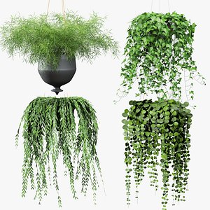 Set of hanging plants in pots 3D model