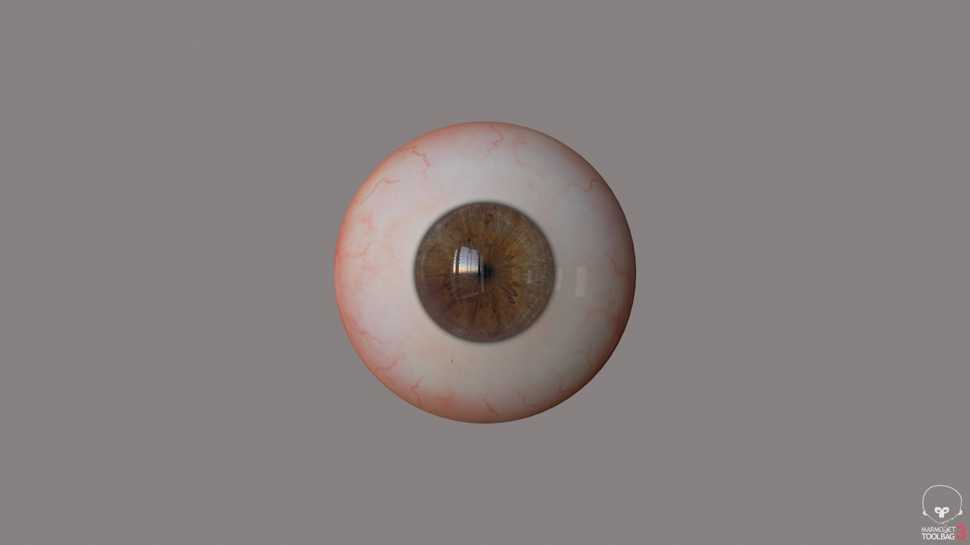 Eye 3d Model