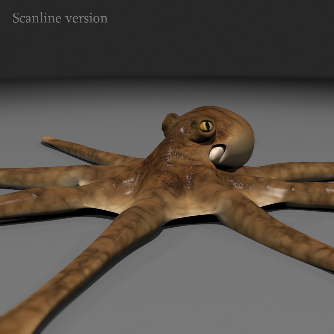 Rigged Giant Pacific Octopus 3d Model