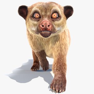 Animated Furry Kinkajou
