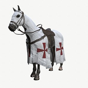 Crusader Horse
