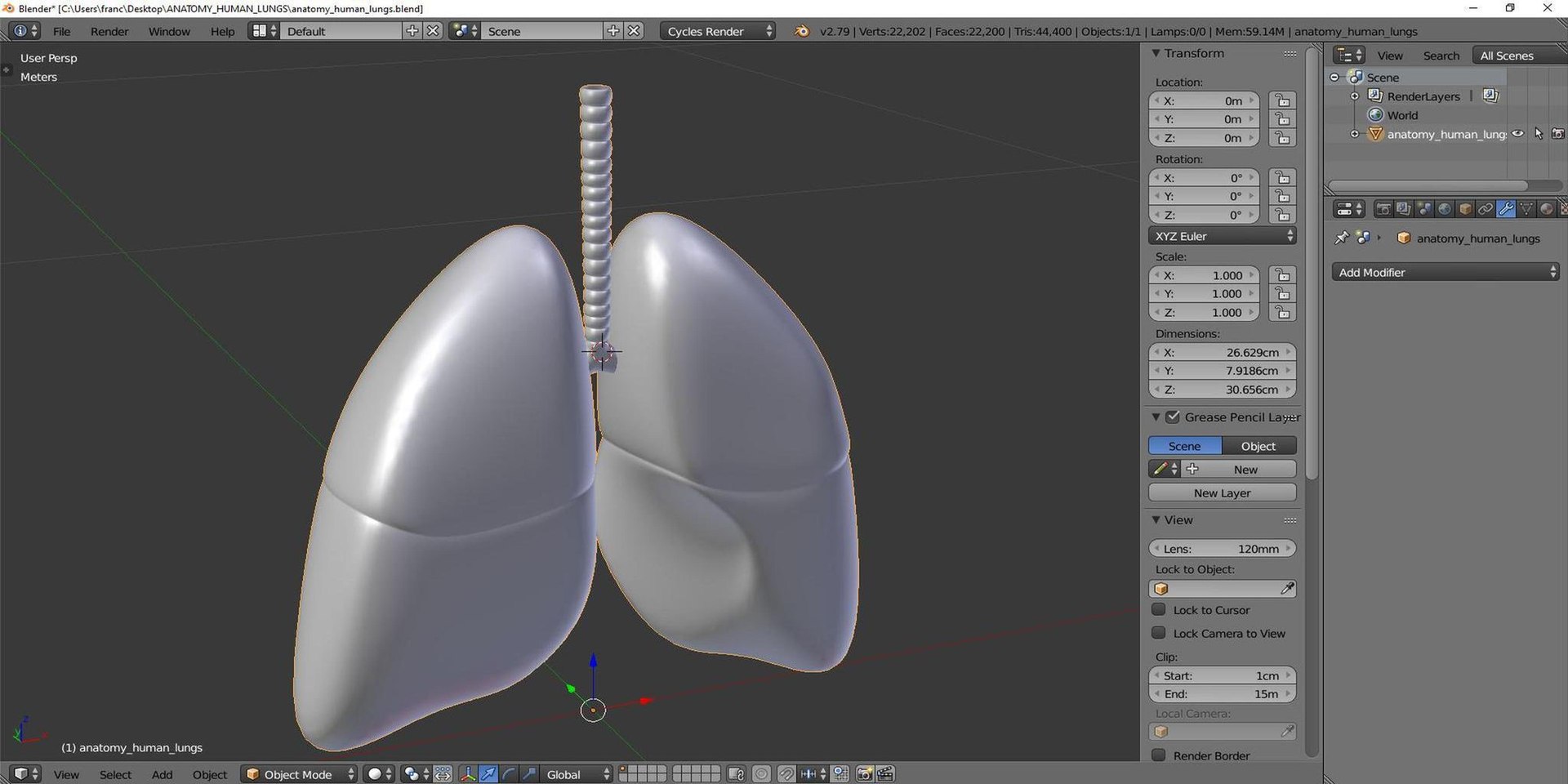 3D human lungs https://p.turbosquid.com/ts-thumb/FI/Dly8x3/50/tsanatomy_human_lungs08/jpg/1640722046/1920x1080/fit_q87/1dd205e9920e7099b8f46becef904c1daededa5d/tsanatomy_human_lungs08.jpg