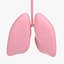 3D human lungs
