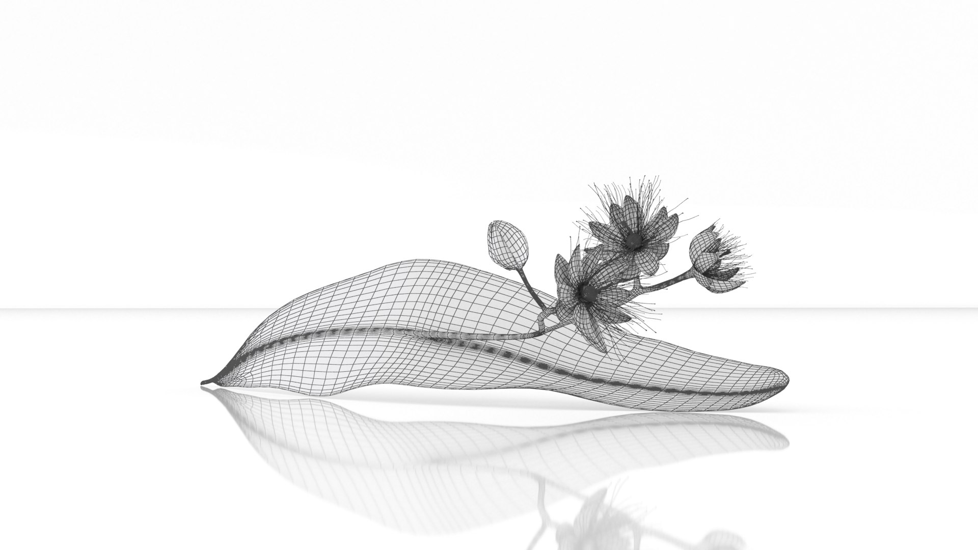 3D model Linden tilia cordata flowers herb https://p.turbosquid.com/ts-thumb/FI/G8vg3b/N4/6/png/1651038073/1920x1080/fit_q87/15dba3e0cb224c8d1de280ca8cdebfa2458c9882/6.jpg