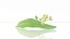 Ziele lipy tilia cordata