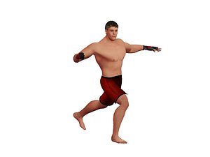 Animated MMA Fighter