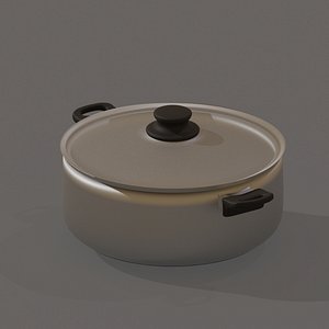Kitchen Cooking Pot