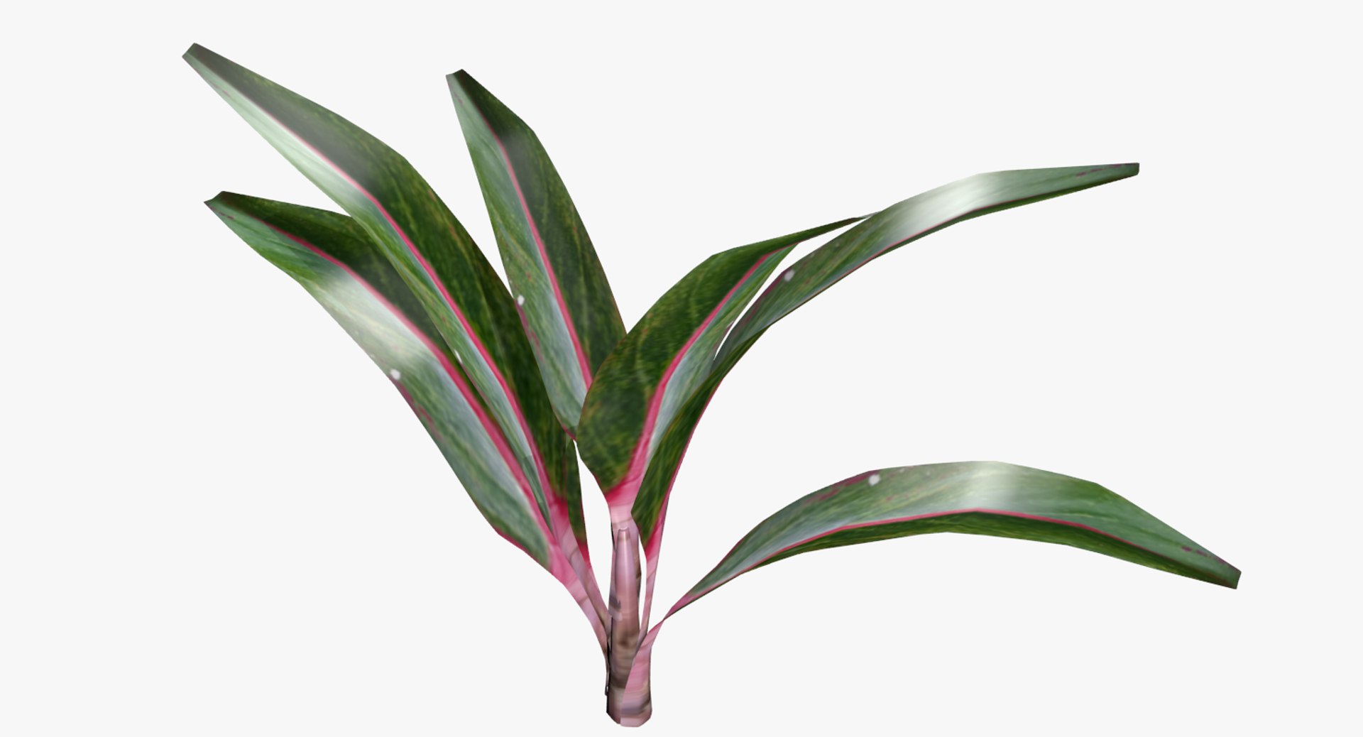 indoor plant 3D model https://p.turbosquid.com/ts-thumb/FI/UHleFD/Lacd4wtf/1/png/1524590832/1920x1080/fit_q87/8a1e9118c8f5a69f1459af33e4ccda818db8c695/1.jpg