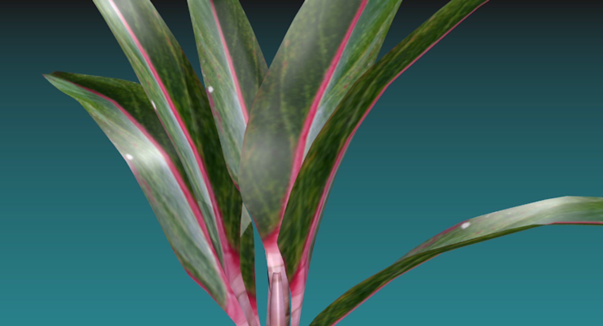 indoor plant 3D model https://p.turbosquid.com/ts-thumb/FI/UHleFD/k0aB6wwU/image3/png/1518957436/1920x1080/fit_q87/55db8dd2e498e80939c1d2c8e9606059d65ec447/image3.jpg