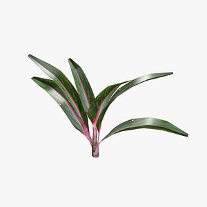 IndoorPlant v2a