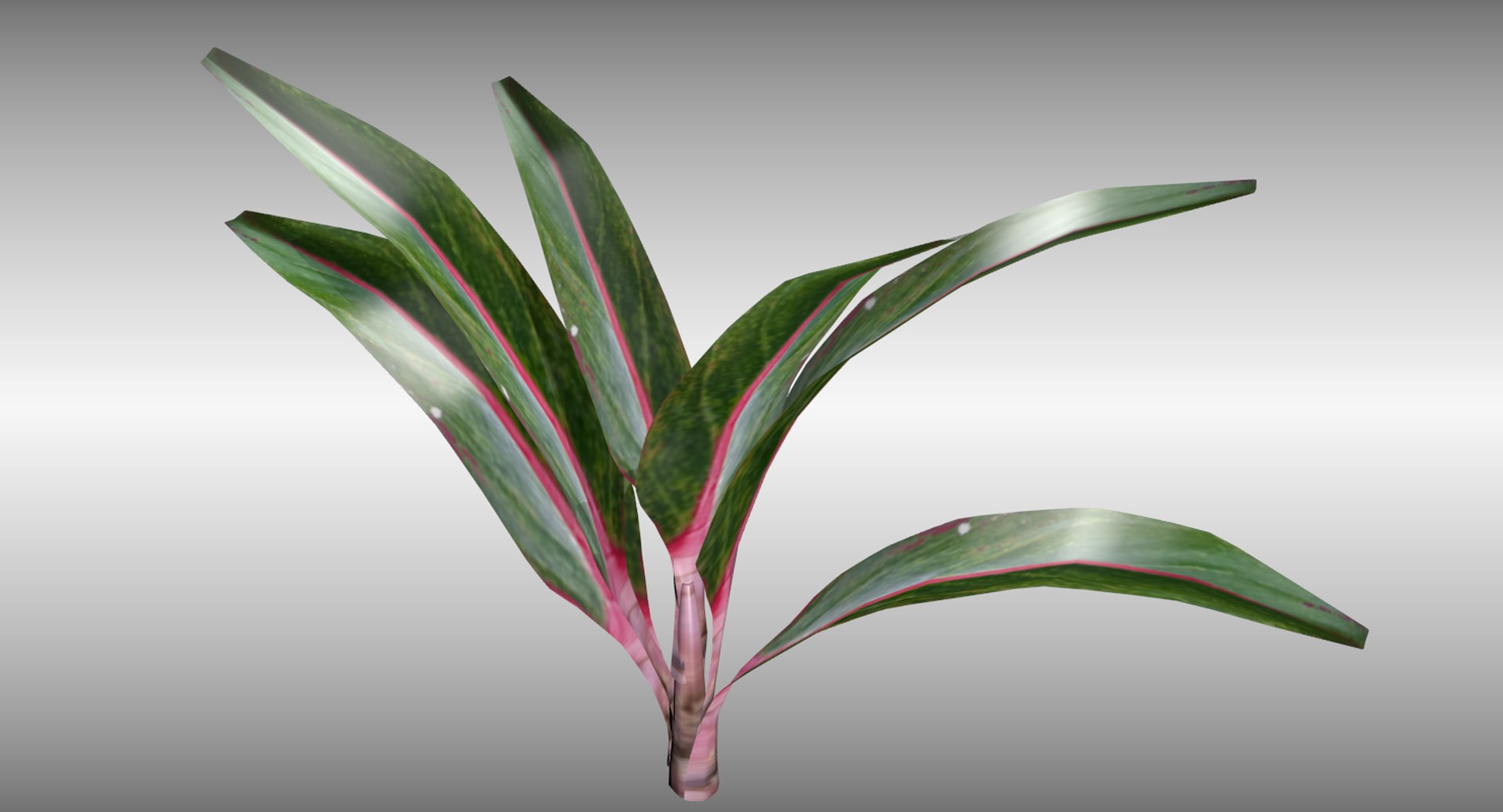 indoor plant 3D model https://p.turbosquid.com/ts-thumb/FI/UHleFD/ufUFAyWT/2/png/1524590832/1920x1080/fit_q87/c85b52ccdd8bb5cbd88fb87ce4e841258c4be82b/2.jpg