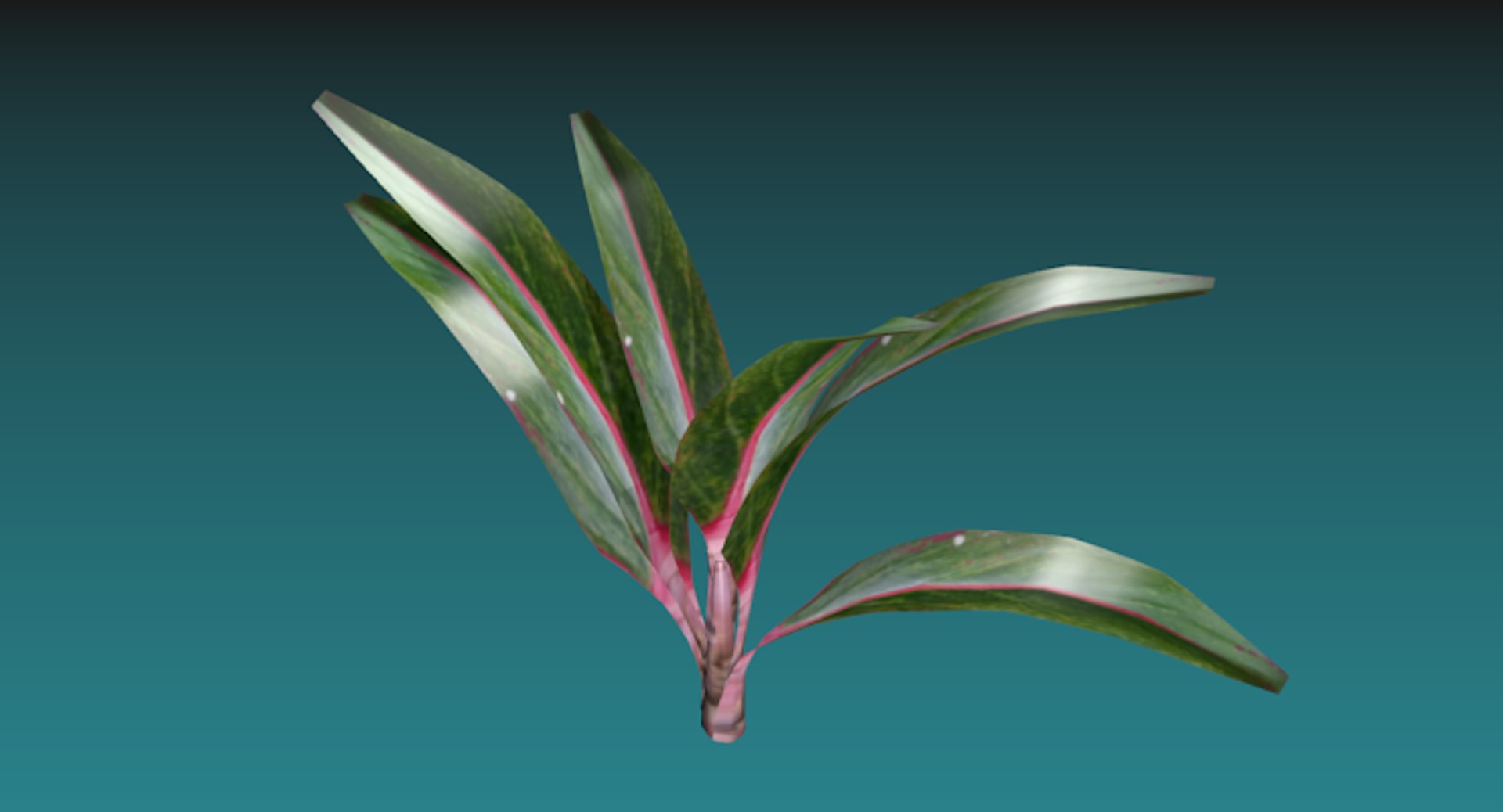 indoor plant 3D model https://p.turbosquid.com/ts-thumb/FI/UHleFD/vnAfL5Q5/image2/png/1518957436/1920x1080/fit_q87/120c3079b9c6cf9f95660d8ea69312f92ba82d84/image2.jpg