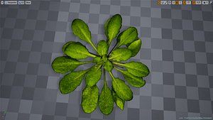 3D grasses pack foliage fantasy