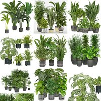 Collection plant indoor vol 2  - blender - 3dmax - cinema 4d