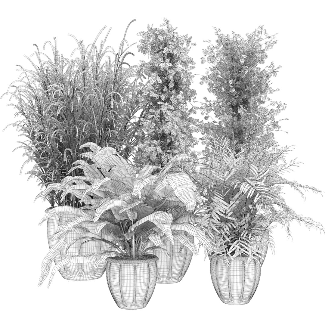 3D Collection plant indoor vol 2  - blender - 3dmax - cinema 4d https://p.turbosquid.com/ts-thumb/FI/k6Brtd/nP/7/jpg/1650876360/1920x1080/fit_q87/ae0b60a624311d0533cdf8d1904e12323baa680f/7.jpg