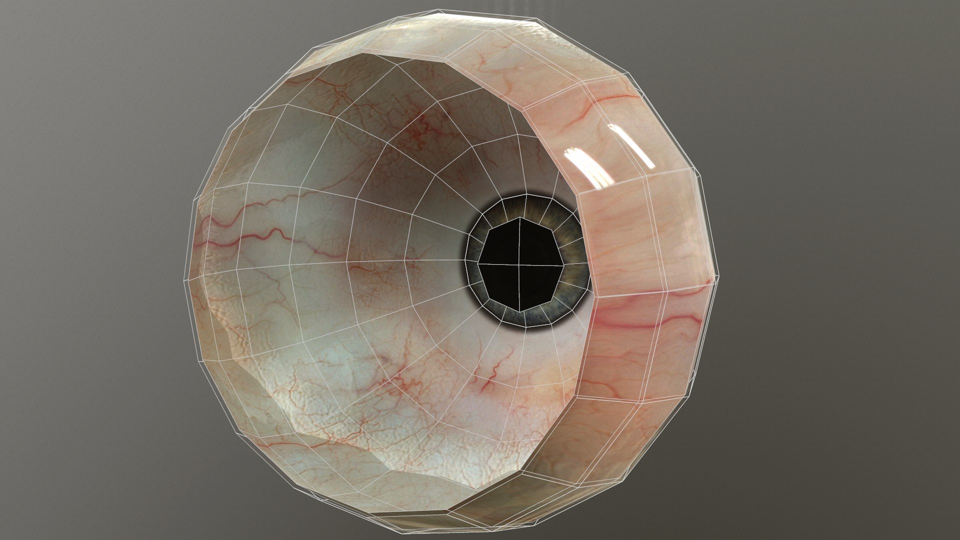 Eye Realistic Modeled Model - TurboSquid 1291402