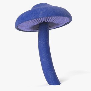 Leptonia Carnea Mushroom 3D