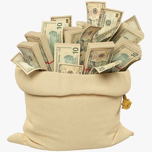 Money Bag V13 3D