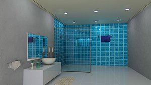 Luxurious bathroom