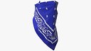Accessory Bandana Face Cover Blue