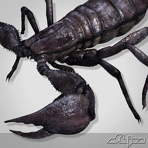 3d scorpion pandinus imperator