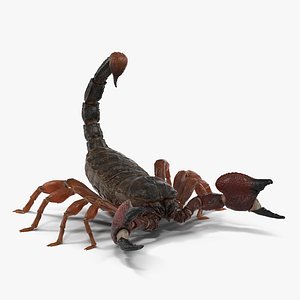 3d model scorpion pose 2