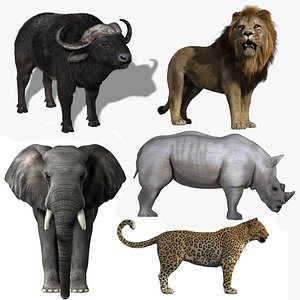 Africa Big Five