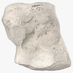 Real Cuneiform Bone Medial 01 White