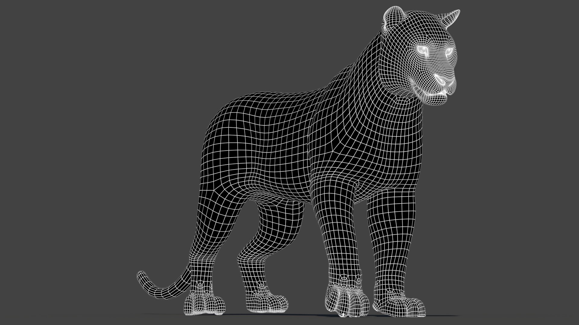 Max Tiger White Rigged Cat
