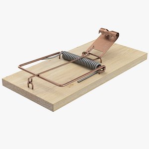 Mouse Trap