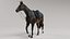 Horse SealBrown Saddled ANIMATED 3D