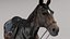 Horse SealBrown Saddled ANIMATED 3D