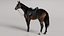 Horse SealBrown Saddled ANIMATED 3D