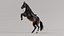 Horse SealBrown Saddled ANIMATED 3D