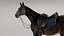 Horse SealBrown Saddled ANIMATED 3D