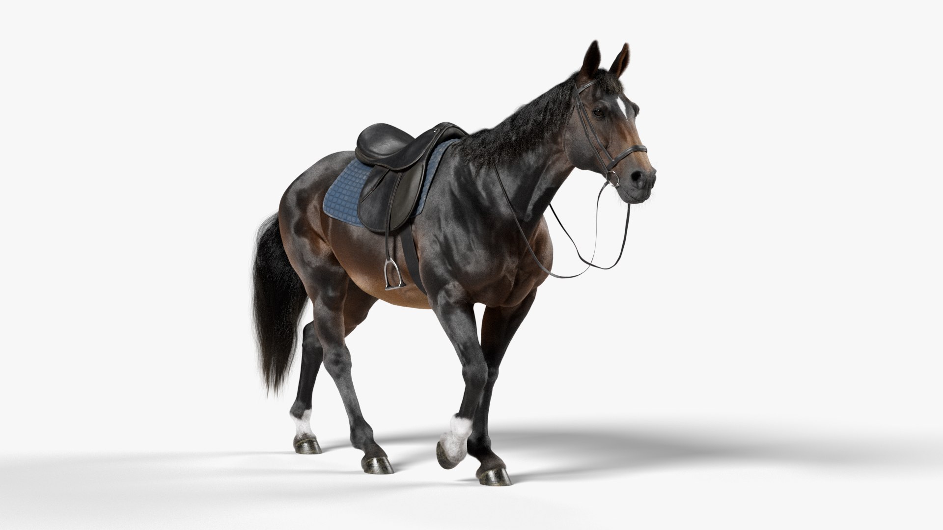 Horse SealBrown Saddled ANIMATED 3D https://p.turbosquid.com/ts-thumb/FJ/N0bcm9/p6/horsesaddledanimated_signature_v002/png/1773502736/1920x1080/fit_q87/20868ab9d5d3be7b8688ffcc88bf42a35982dcd7/horsesaddledanimated_signature_v002.jpg