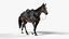 Horse SealBrown Saddled ANIMATED 3D